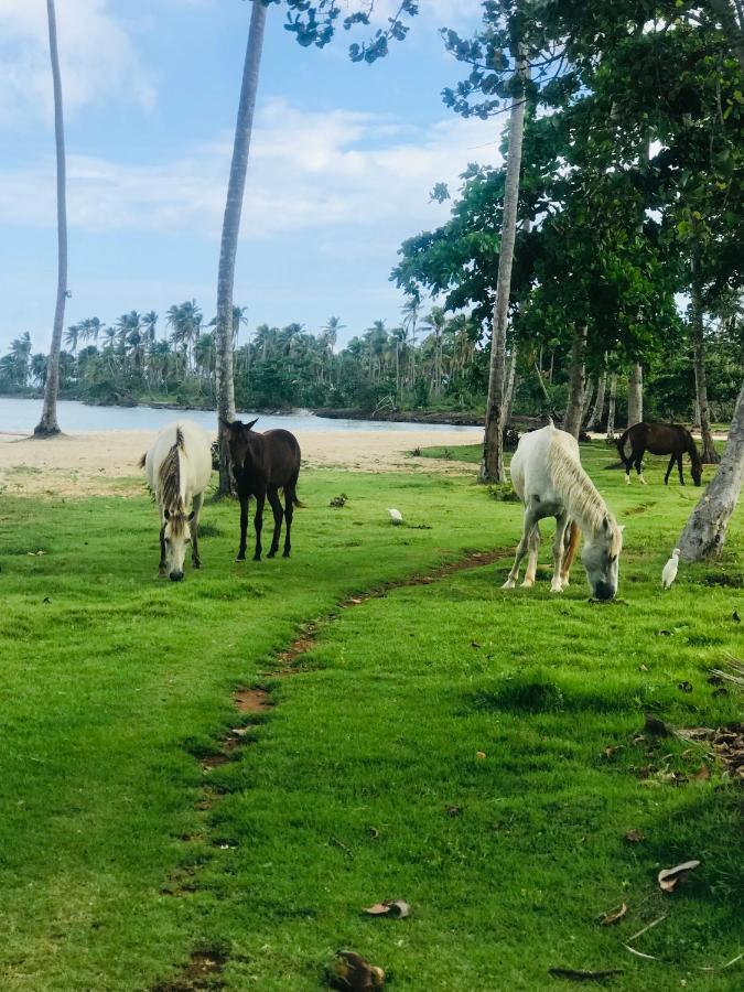 Oasis En La Naturaleza Rancho Alto Bonito ラス・ガレラス エクステリア 写真