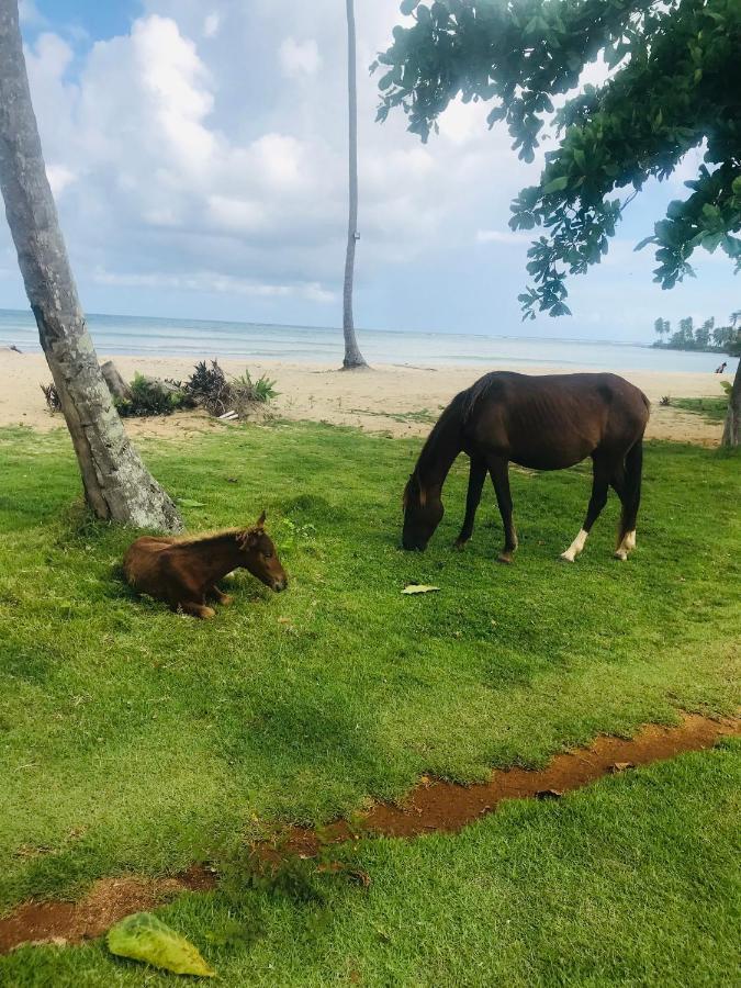 Oasis En La Naturaleza Rancho Alto Bonito ラス・ガレラス エクステリア 写真