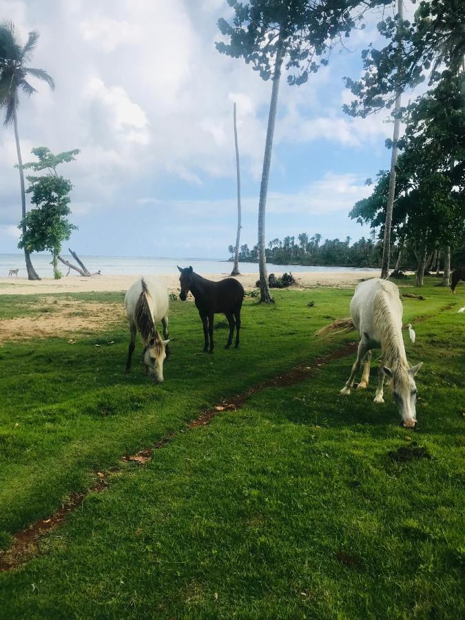 Oasis En La Naturaleza Rancho Alto Bonito ラス・ガレラス エクステリア 写真